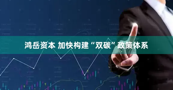 鸿岳资本 加快构建“双碳”政策体系