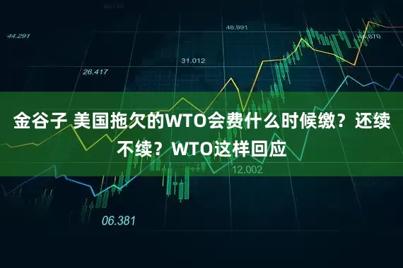 金谷子 美国拖欠的WTO会费什么时候缴？还续不续？WTO这样回应