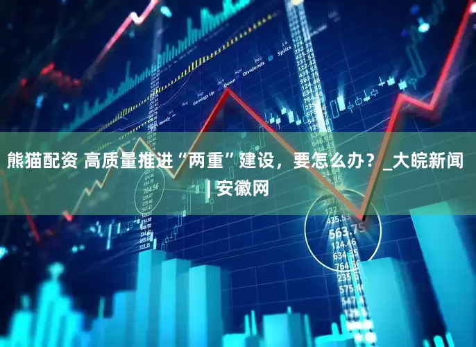 熊猫配资 高质量推进“两重”建设，要怎么办？_大皖新闻 | 安徽网