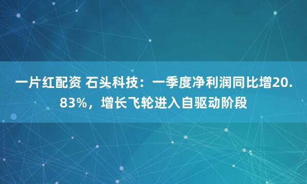 一片红配资 石头科技：一季度净利润同比增20.83%，增长飞轮进入自驱动阶段